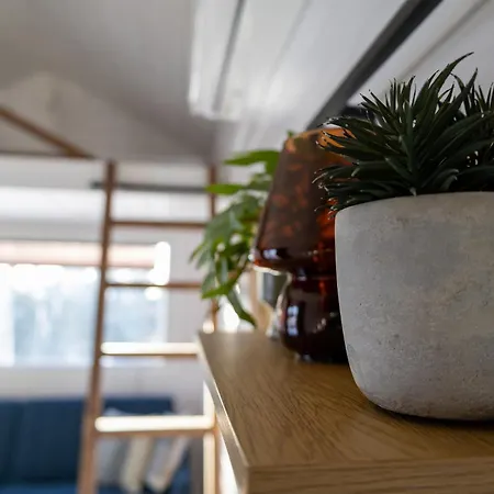 Tiny House Pa Liatoppen Vintercamping Minihus Pa Hjul Campeggio *