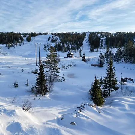 Tiny House Pa Liatoppen Vintercamping Minihus Pa Hjul